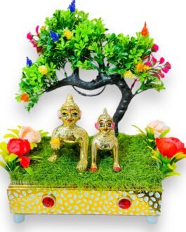 Laddu Gopal & Radharani pair 4 no.