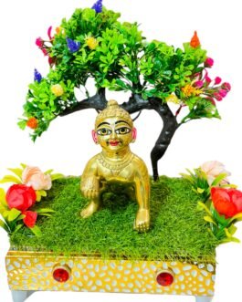 Laddu Gopal idol 6 no.