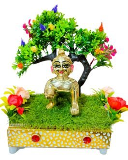 Laddu Gopal idol 7 no.