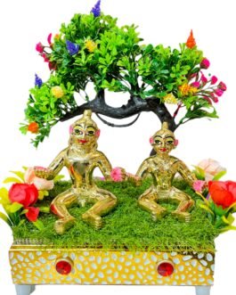 Laddu Gopal & Radharani pair 6 no.