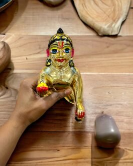 Laddu Gopal idol 8 no.